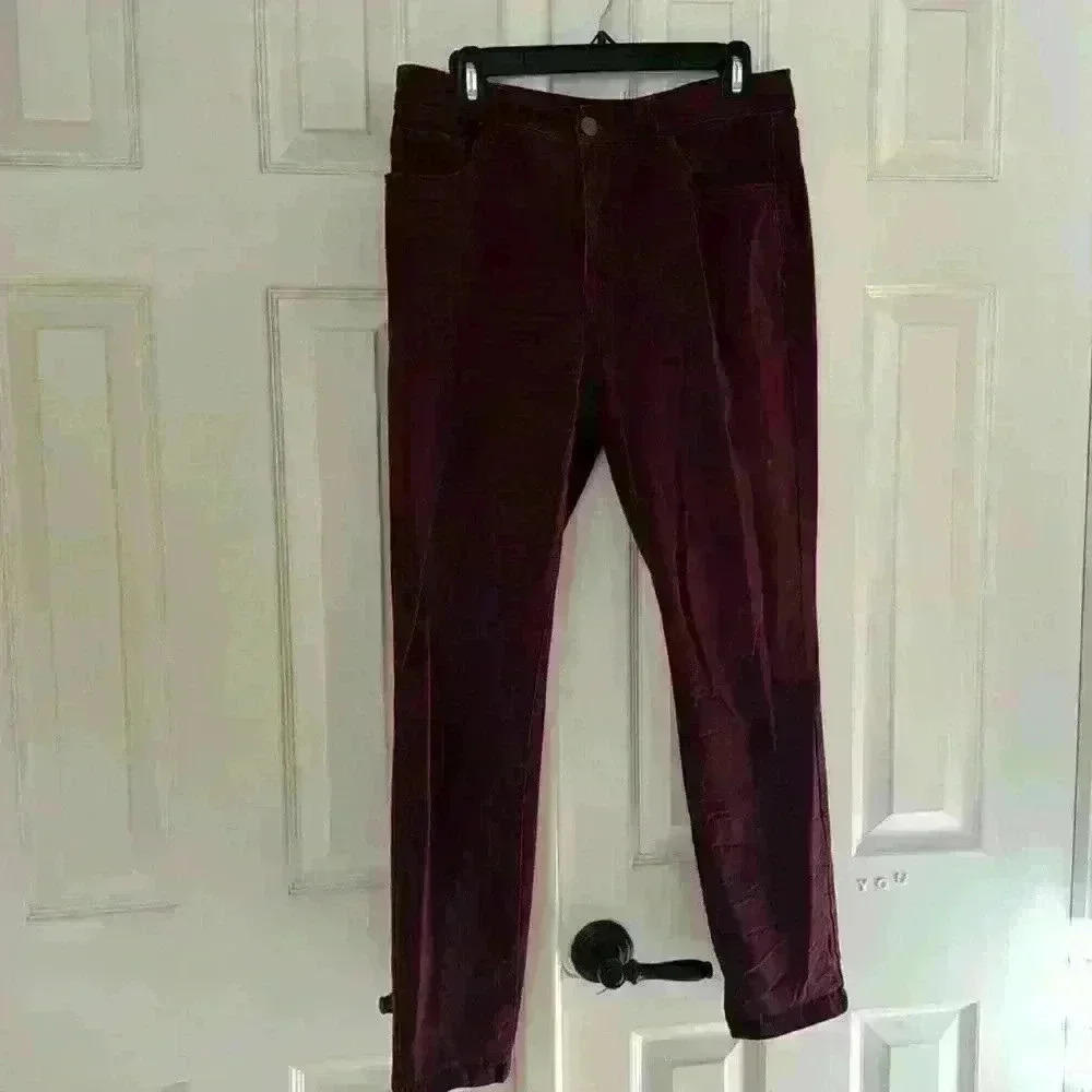 LOFT maroon, ox blood pants - Picture 1 of 2